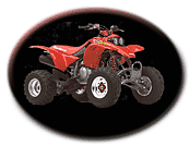 ATVs or four-wheelers are immensely popular means of having fun in the wilds